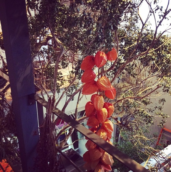 a0279029_22300765.jpeg