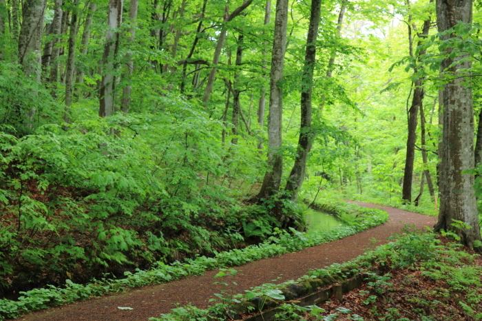 f0348831_22055629.jpg