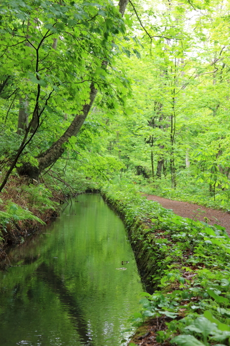 【蔦七沼めぐり】青森旅行 - 3 -_f0348831_22055929.jpg