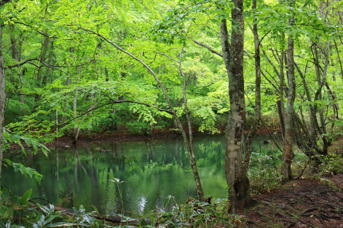 f0348831_22060419.jpg