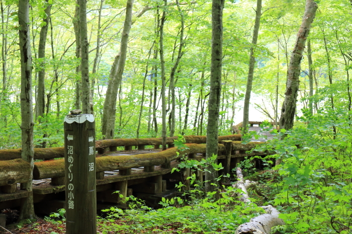 f0348831_22060999.jpg