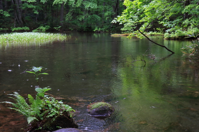 f0348831_22062463.jpg