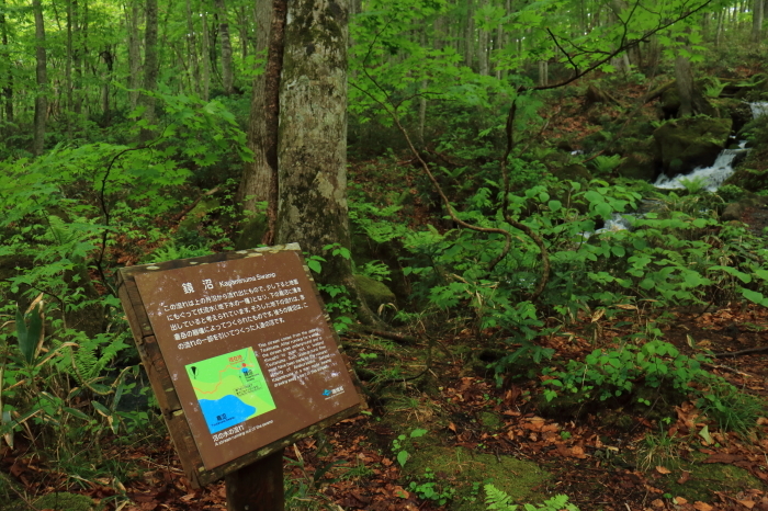 f0348831_22062827.jpg