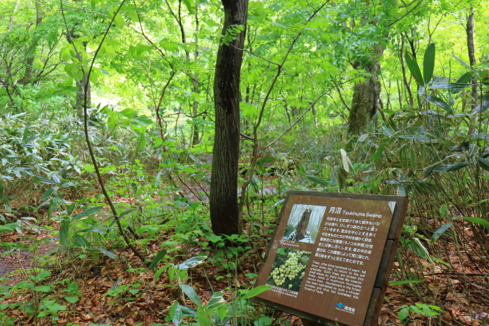 【蔦七沼めぐり】青森旅行 - 3 -_f0348831_22063844.jpg