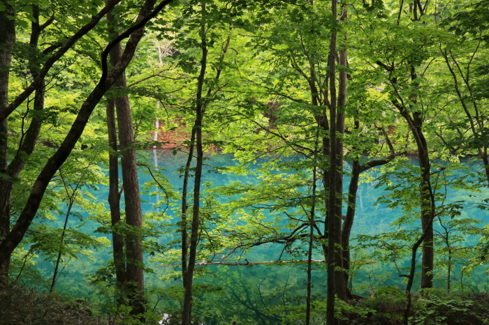 f0348831_22073369.jpg