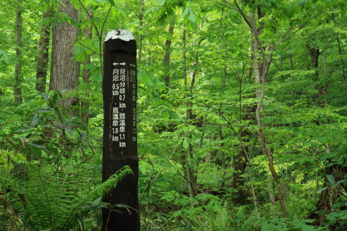f0348831_22144359.jpg