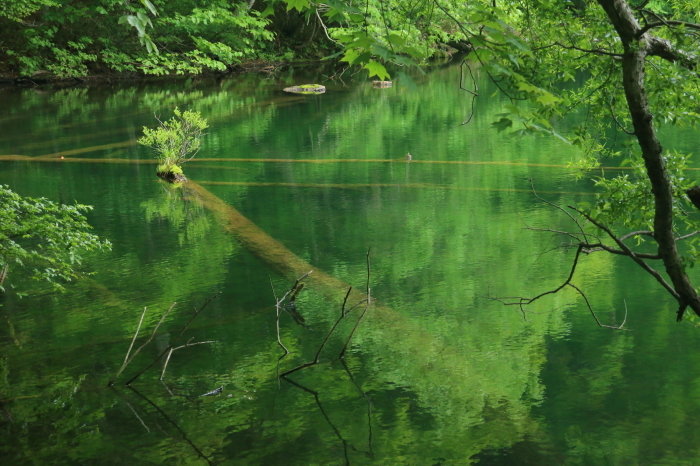 f0348831_22491447.jpg