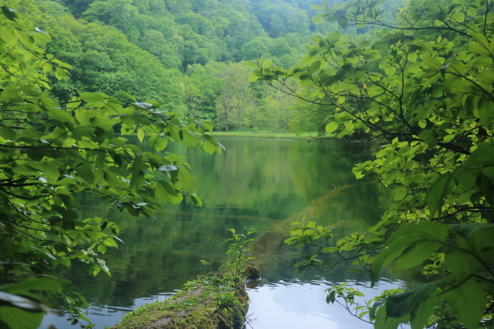 f0348831_22492342.jpg