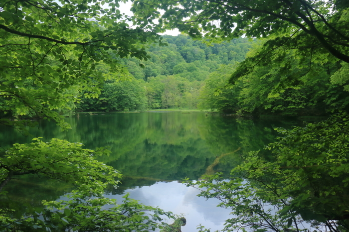 f0348831_22493240.jpg