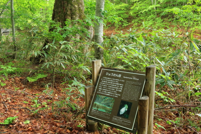f0348831_22495148.jpg