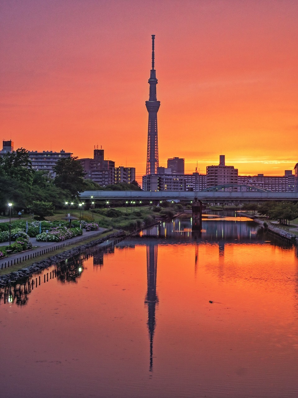 2018.5.31夕焼けとスカイツリーのリフレクション(ふれあい橋)_e0321032_09553640.jpg