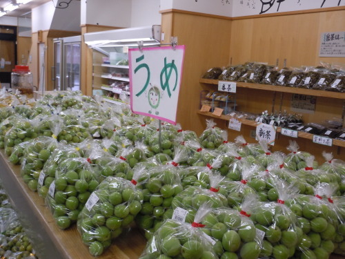 f0227432_11113610.jpg