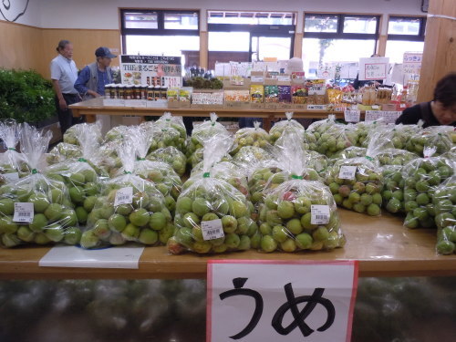 f0227432_11114205.jpg