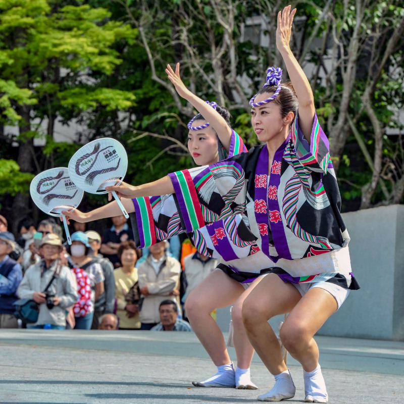 四国の祭り　2018　娯茶平「徳島県 阿波踊り」_d0246136_18202123.jpg