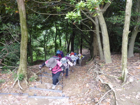 油コブシ~六甲高山植物園_c0218841_13544429.jpg