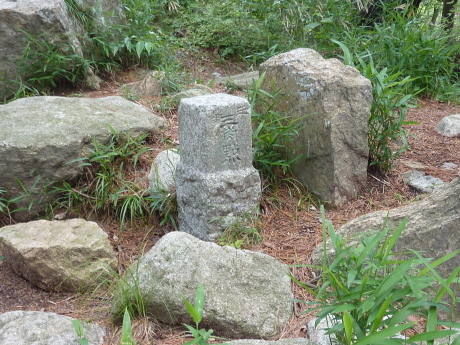 油コブシ~六甲高山植物園_c0218841_13552342.jpg