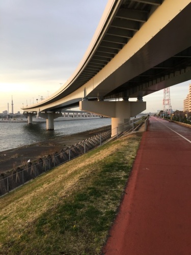 鋼鉄の建築美 荒川河口橋 とほ情景 不思議なウォーキングと町歩き紀行 鋼鉄の建築美 荒川河口橋 とほ情景 不思議なウォーキングと町歩き紀行