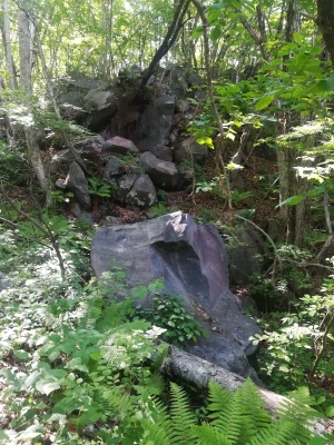 b0126549_18333995.jpg