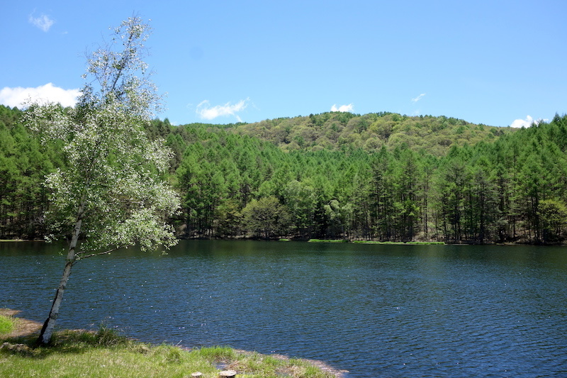 b0325549_19275931.jpg