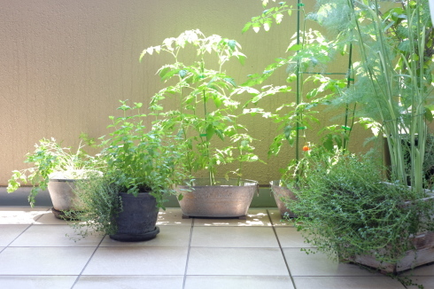 休日のroutine_f0328051_13201346.jpg