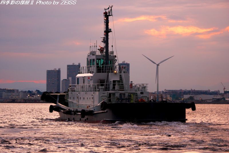 昨日の夕方、横浜の大黒ふ頭で見た光景_d0358854_12180189.jpg