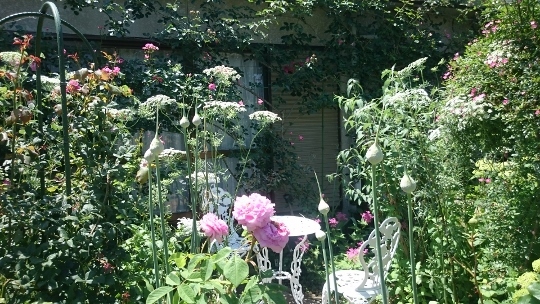 c0328559_15504760.jpg