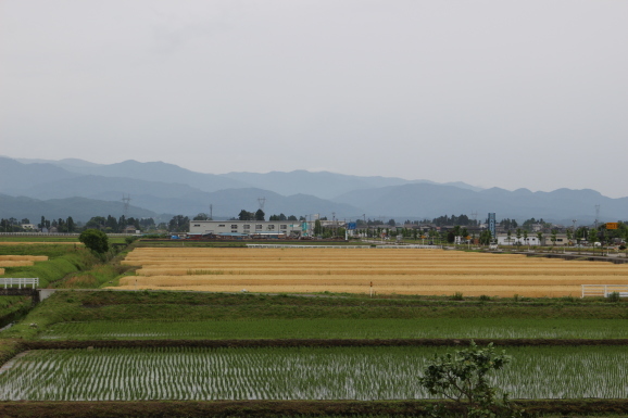 d0226259_09153500.jpg