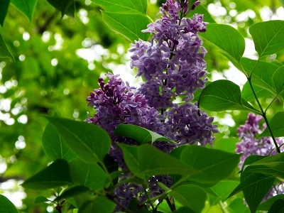 e0122168_22410912.jpg