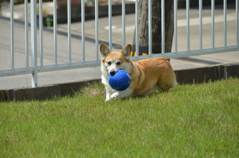 f0393670_14565236.jpg