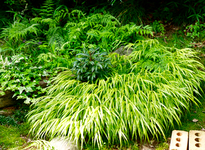 c0040472_15054790.jpg