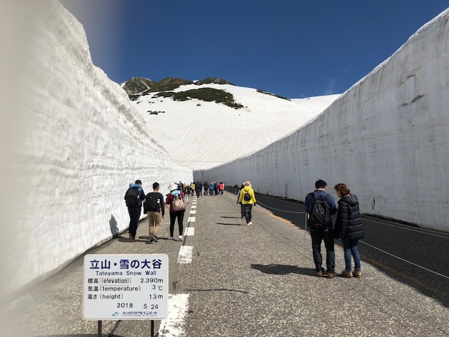 d0082980_20563019.jpg