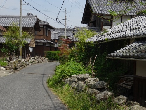 春の里山歩きと山菜とり_e0008880_00171861.jpeg