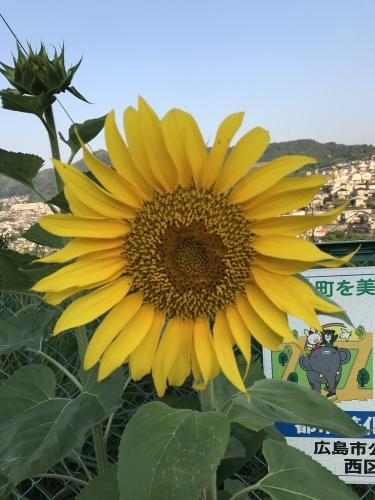 f0315081_22072736.jpeg