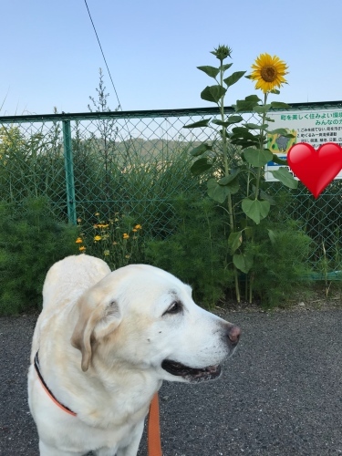 f0315081_22100518.jpeg