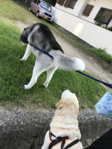 f0315081_22105336.jpeg