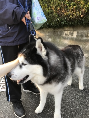 f0315081_22121596.jpeg