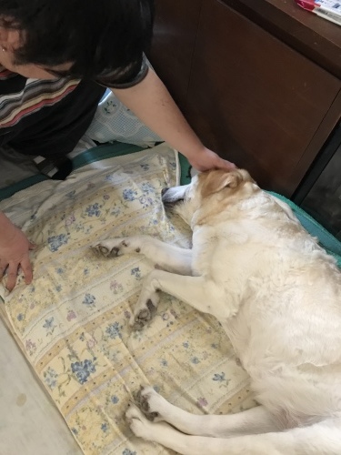 f0315081_22212430.jpeg