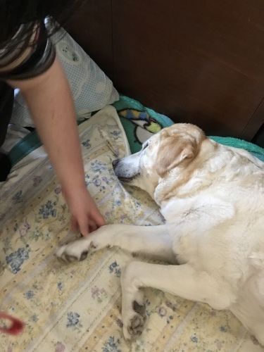 f0315081_22220692.jpeg