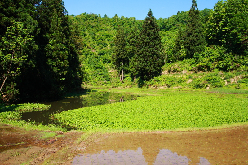 e0165983_10102911.jpg