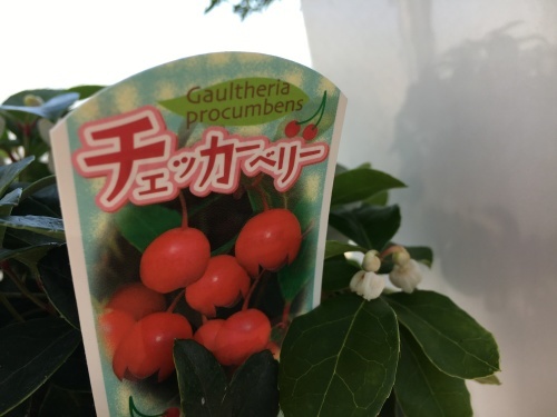 f0347891_01490193.jpeg