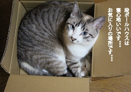 シェアしようね!_a0333195_09014918.jpg