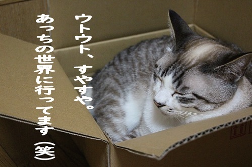 シェアしようね!_a0333195_09015503.jpg