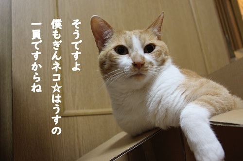 シェアしようね!_a0333195_09185245.jpg