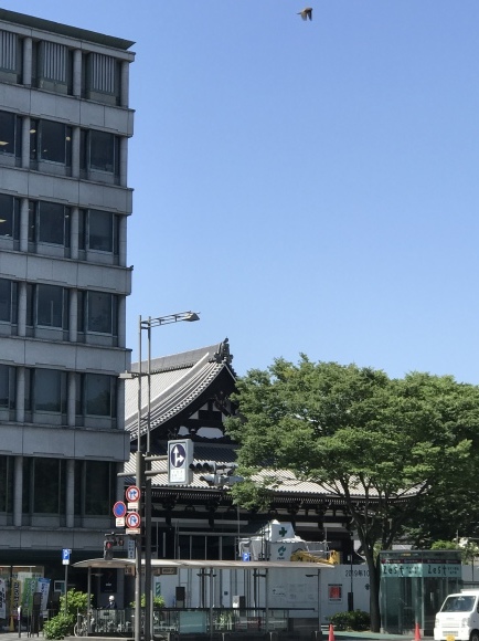 f0010195_23485557.jpeg