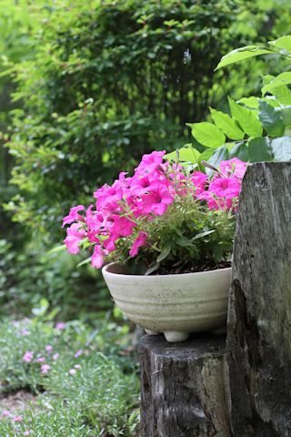 c0090198_18462735.jpg