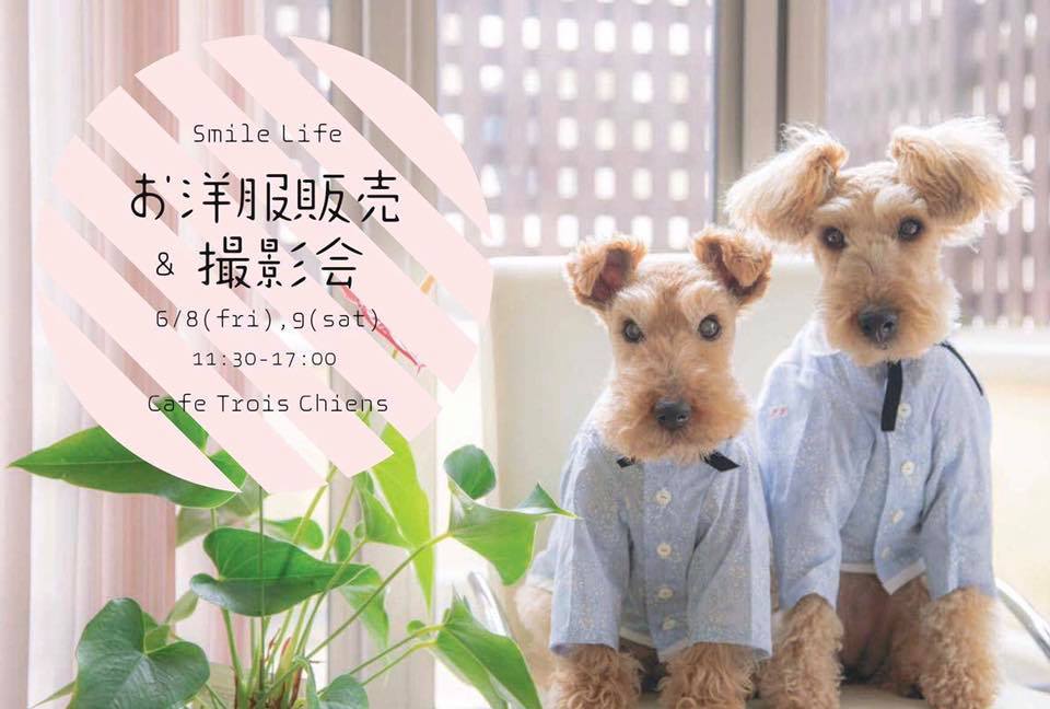 犬服の展示販売イベント_b0012899_14473069.jpg