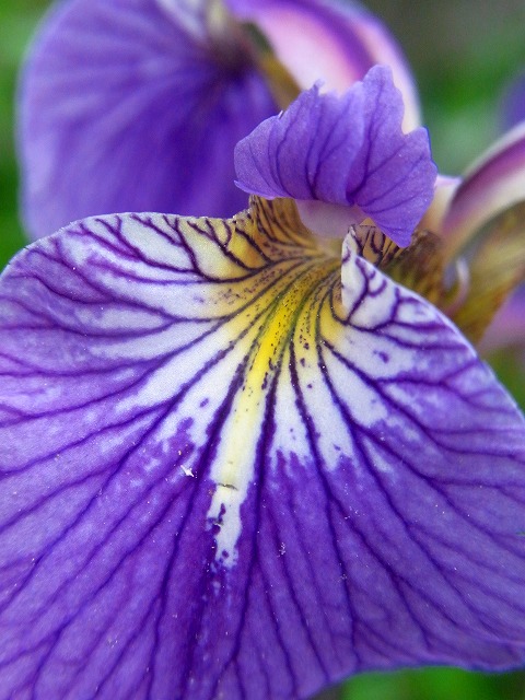 f0157901_12342837.jpg