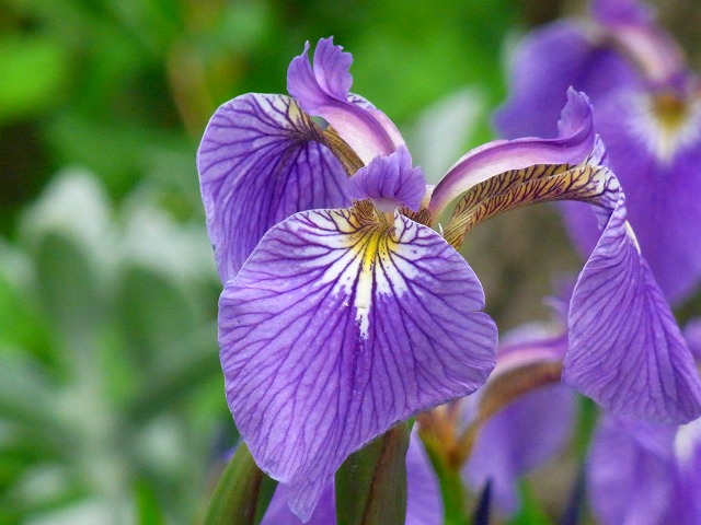 f0157901_1235189.jpg
