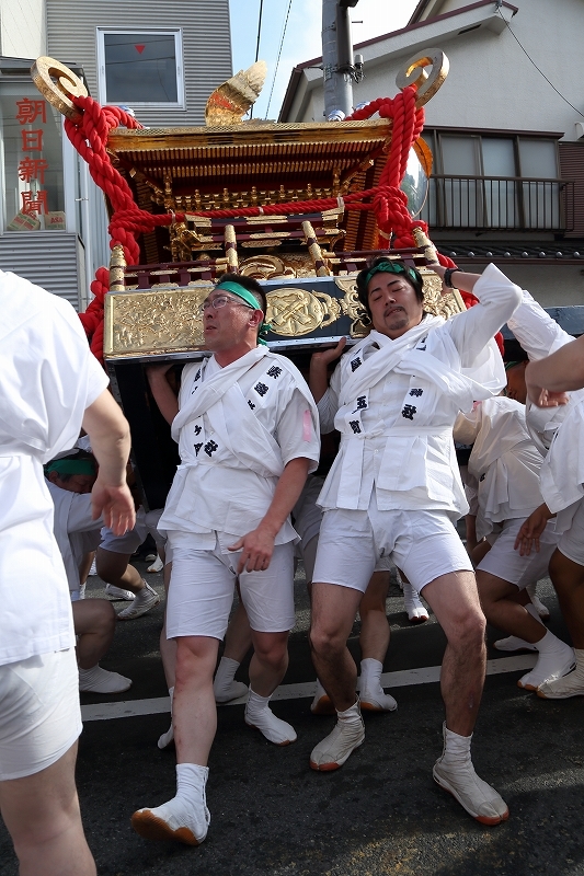 祭神も　　振り起こされる　　神輿かな　（素戔嗚神社、天王祭）　　_b0291402_07474844.jpg