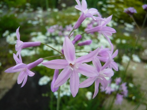 c0112206_81318.jpg